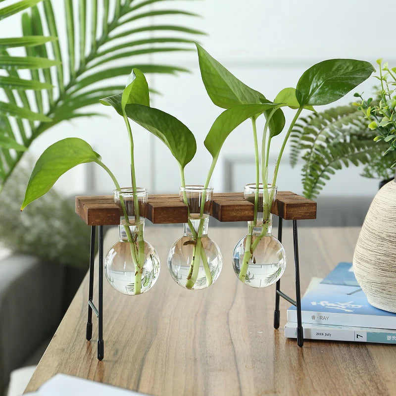 Wooden Frame Glass Bulb Vase