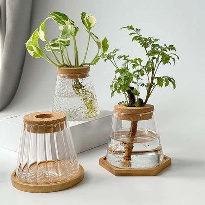 Mini Hydroponic Glass Pots