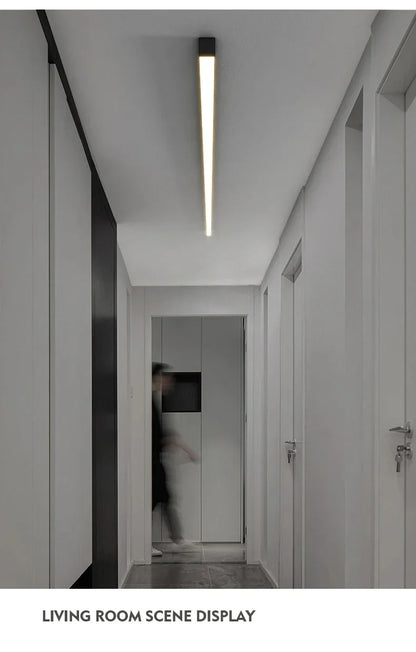 Nordic LED Ceiling Light