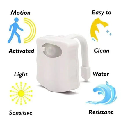 Mini Kawaii Human Motion Sensing LED Night Ligh