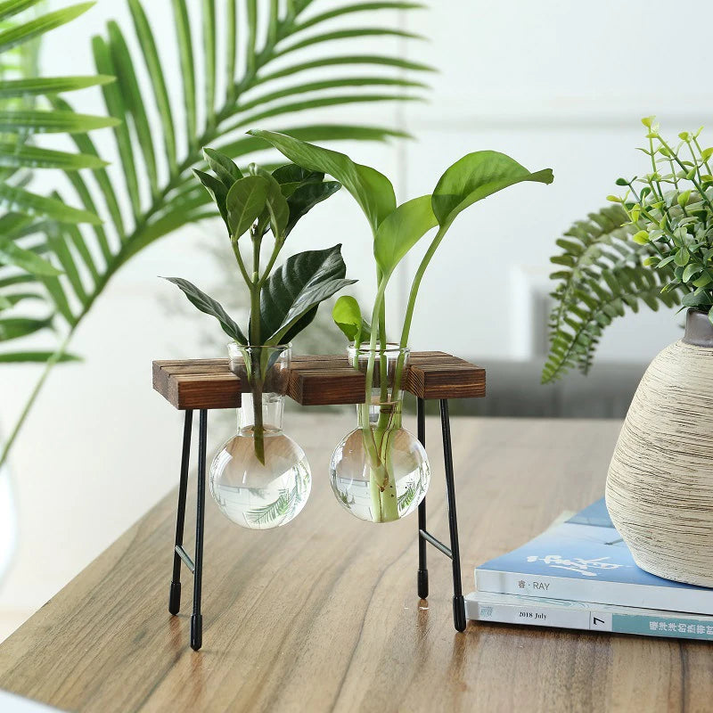 Wooden Frame Glass Bulb Vase