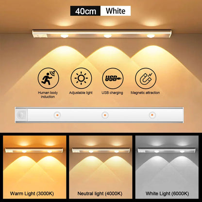 Motion Sensor LED Light