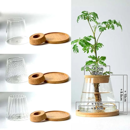 Mini Hydroponic Glass Pots