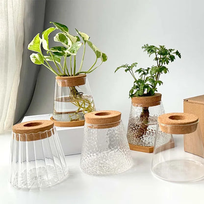 Mini Hydroponic Glass Pots