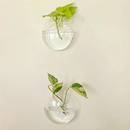 Wall Hanging Glass Plant Terrarium