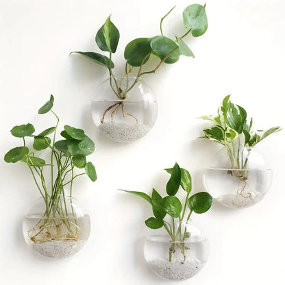 Wall Hanging Glass Plant Terrarium