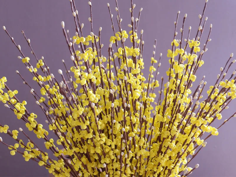 Artificial Winter Jasmine Flowers