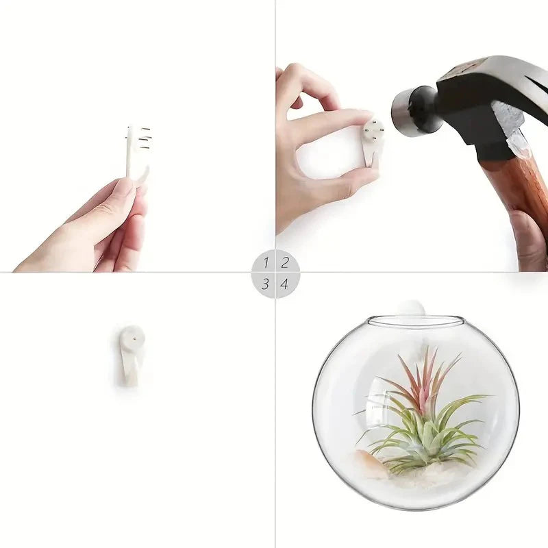 Wall Hanging Glass Plant Terrarium