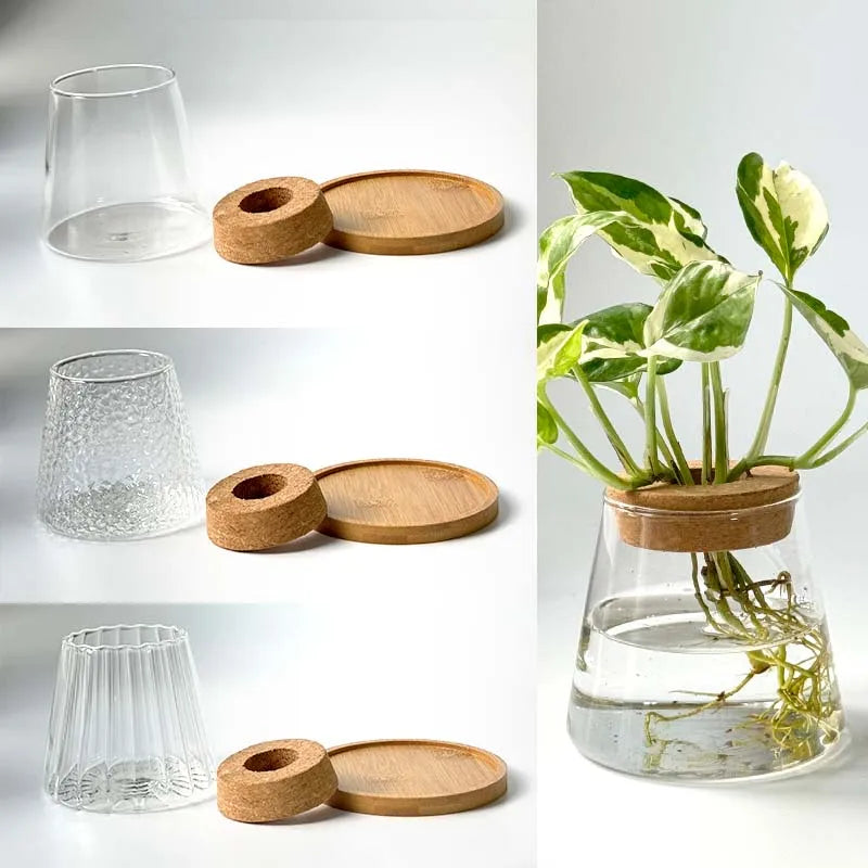 Mini Hydroponic Glass Pots