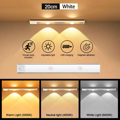 Motion Sensor LED Light