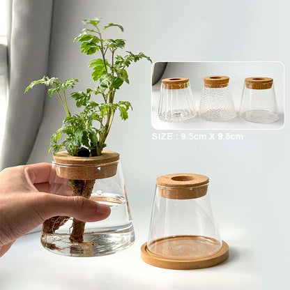 Mini Hydroponic Glass Pots