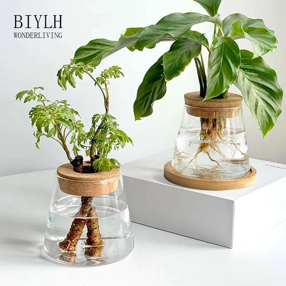 Mini Hydroponic Glass Pots