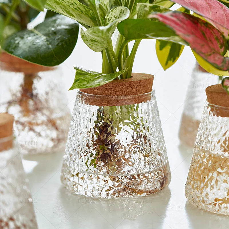 Mini Hydroponic Glass Pots