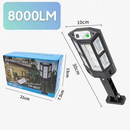 Solar Motion Sensor Light