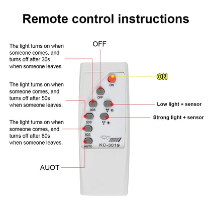 Solar Motion Sensor Light