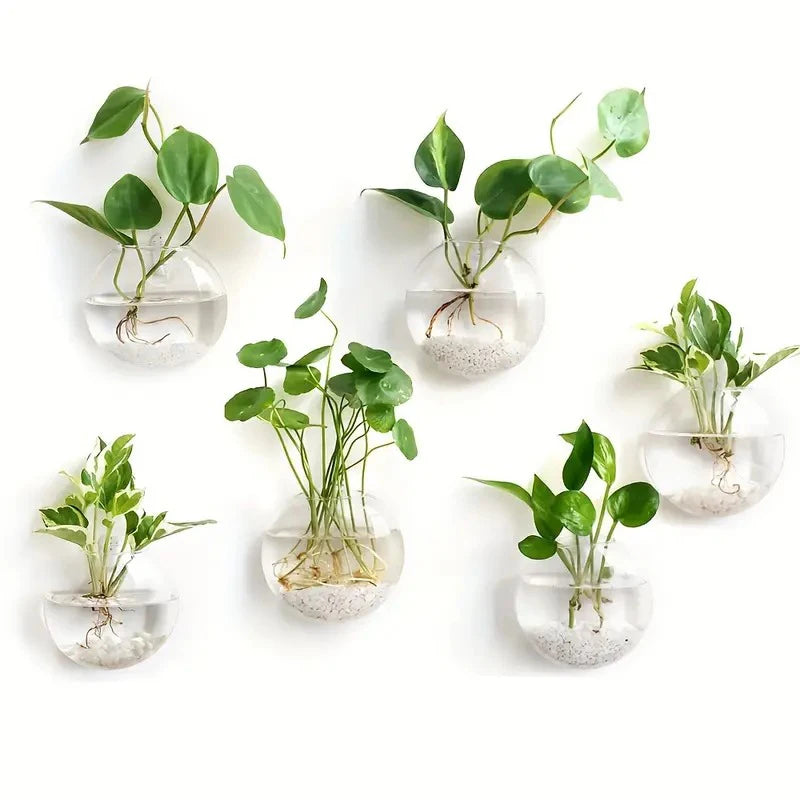 Wall Hanging Glass Plant Terrarium