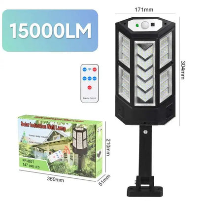 Solar Motion Sensor Light